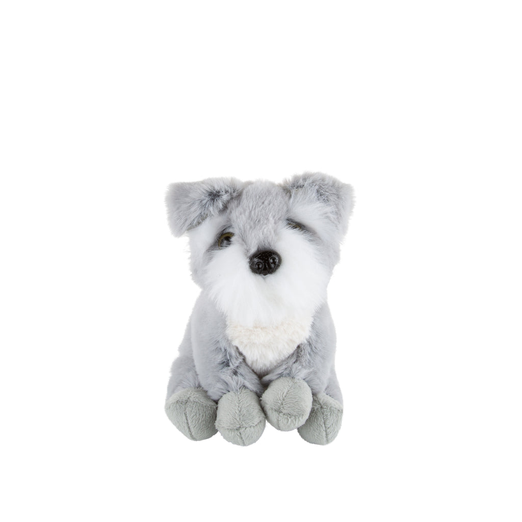 Hugo - grey schnauzer small